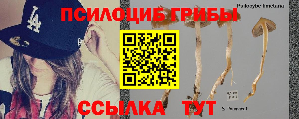 Псилоцибиновые грибы прущие грибы  купить наркотик  Краснодар  Вход с VPN 