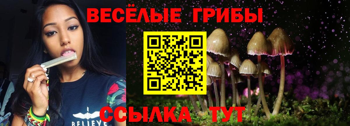 Галлюциногенные грибы прущие грибы Краснодар